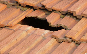 roof repair Fox Hole, Swansea