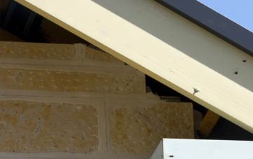 soffit repair Fox Hole